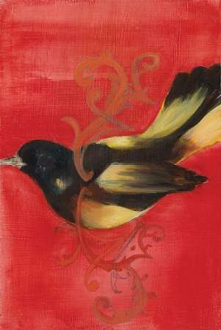 Bird Study IV Poster Print by Arielle Adkin - Item # VARPDXADK103