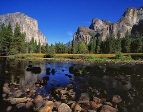 Yosemite II Poster Print by Ike Leahy
