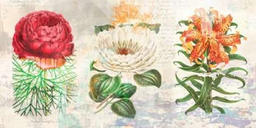 Hortus Botanicus 2.0 Poster Print by Eric Chestier - Item # VARPDX2EH3820