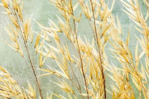 Golden Grasses Poster Print by Kathy Mahan - Item # VARPDXPSMHN629