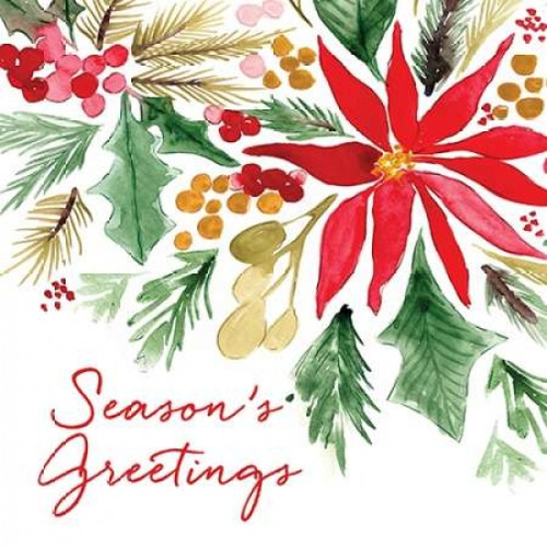 Poinsettia Pine Sq Poster Print by Sara Berrenson - Item # VARPDXBER192