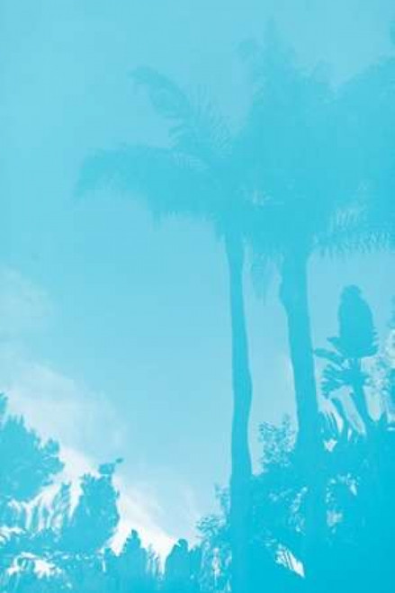 Beverly Hills Pool III Poster Print by Karyn Millet - Item # VARPDXPSMLT776