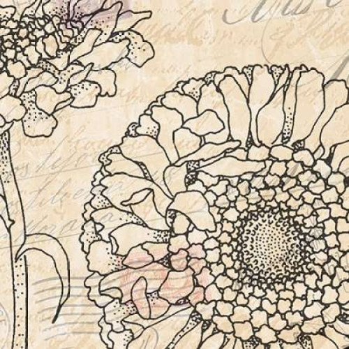 Vintage Dahlias I Poster Print by Todd Williams - Item # VARPDXTWM151