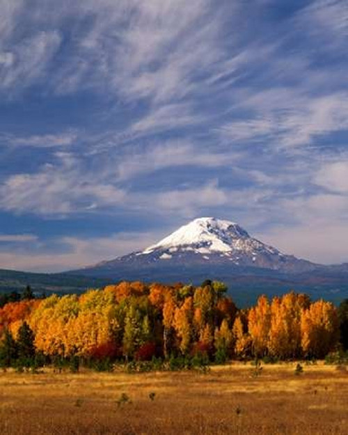 Mt. Adams IV Poster Print by Ike Leahy - Item # VARPDXPSLHY197