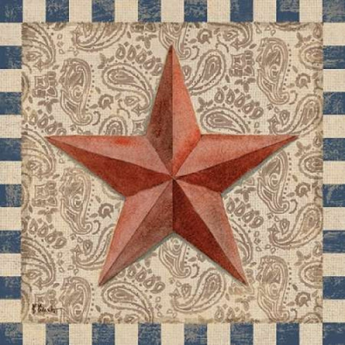 American Barn Star I Poster Print by Paul Brent - Item # VARPDXBNT834
