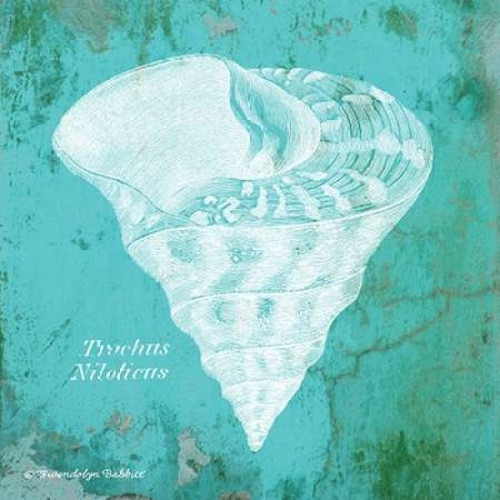 Caribbean Shell I Poster Print by Gwendolyn Babbitt