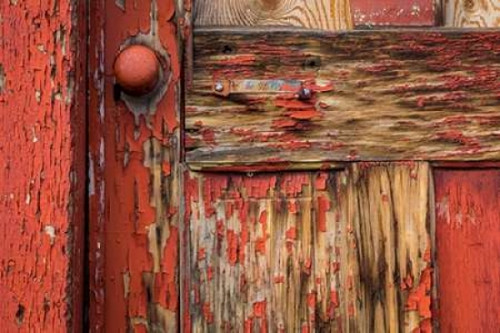 Weathered Door II Poster Print by Kathy Mahan - Item # VARPDXPSMHN702