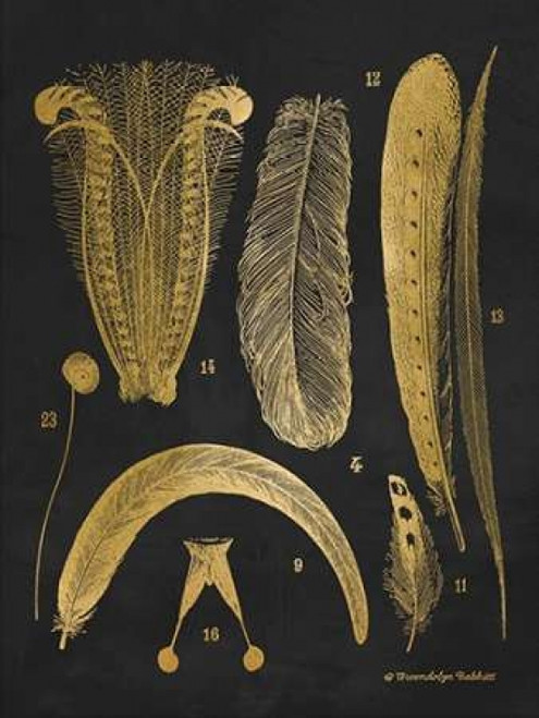 Gold Feathers II Poster Print by Gwendolyn Babbitt