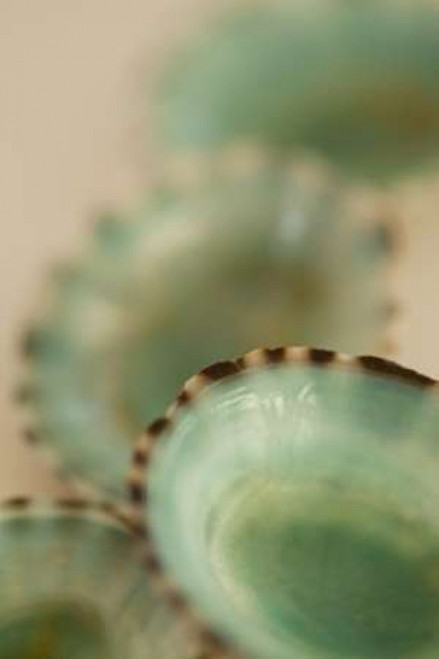 Sea Shells IV Poster Print by Karyn Millet - Item # VARPDXPSMLT568