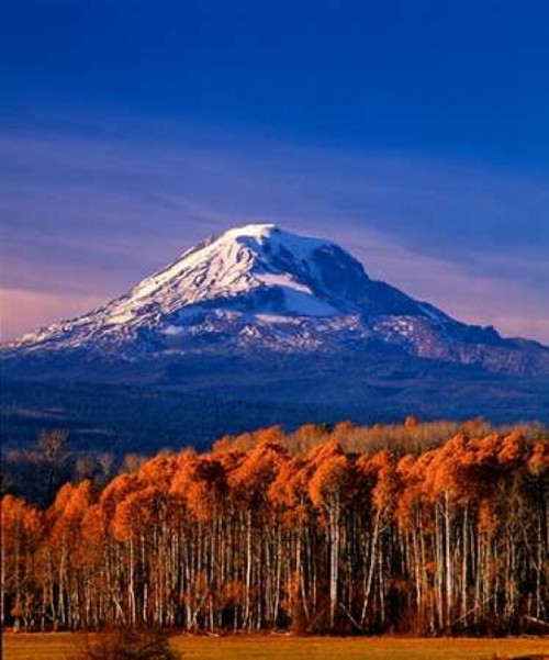 Mt. Adams III Poster Print by Ike Leahy - Item # VARPDXPSLHY196