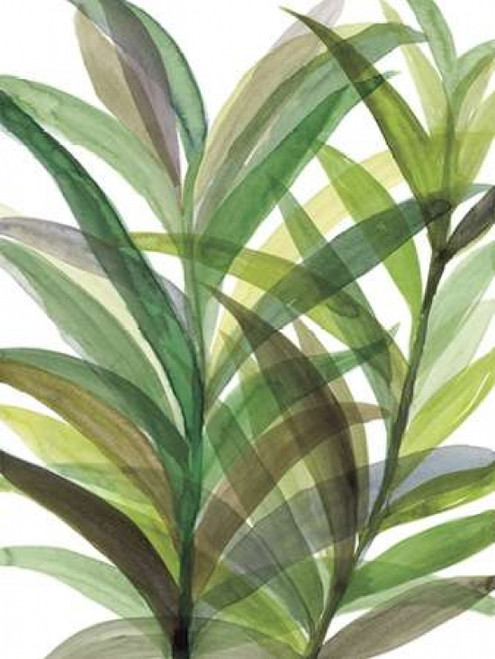 Tropical Greens II Poster Print by Rebecca Meyers - Item # VARPDX18323