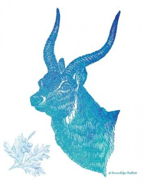 Indigo and Teal Deer II Poster Print by Gwendolyn Babbitt
