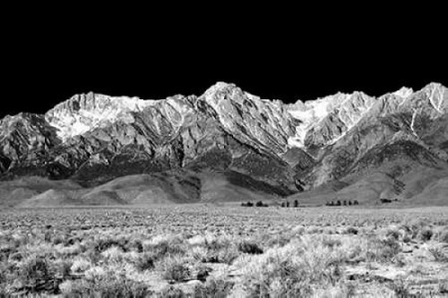 Owens Valley BW Poster Print by Douglas Taylor - Item # VARPDXPSTLR563