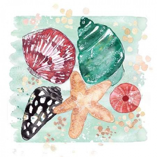 Beachcomber Shells Poster Print by Sara Berrenson - Item # VARPDXBER166