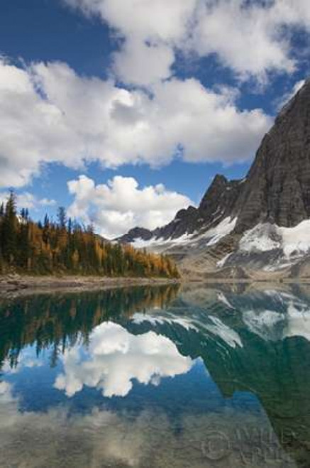 Floe Lake Reflection I Poster Print by Alan Majcrowicz - Item # VARPDX28098