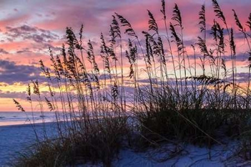 Ragged Sunrise IV Poster Print by Alan Hausenflock - Item # VARPDXPSHSF1796