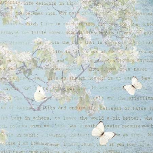 Morning Blossoms I Poster Print by Amy Melious - Item # VARPDXMEL484