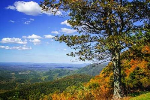 Approaching Autumn II Poster Print by Alan Hausenflock - Item # VARPDXPSHSF1978