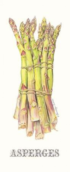 Asperges Poster Print by Gwendolyn Babbitt - Item # VARPDXBAB382
