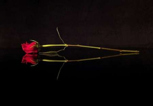 Evening Romace II Poster Print by Monika Burkhart - Item # VARPDXPSBHT268 Evening Romace II Poster Print by Monika Burkhart - Item # VARPDXPSBHT268