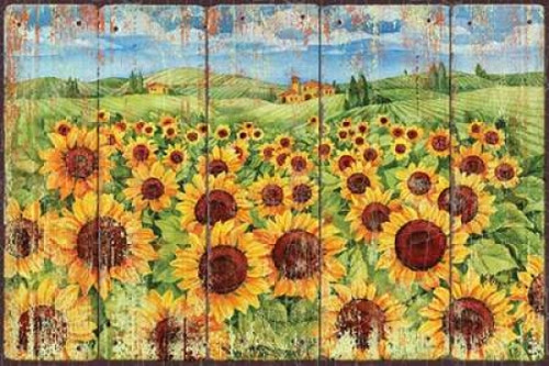 Sunflower Field Poster Print by Paul Brent
