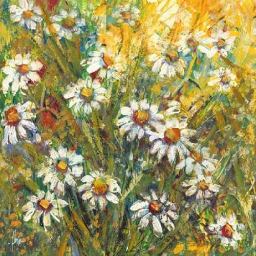 Margherite nel sole Poster Print by Luigi Florio - Item # VARPDX1LR3753