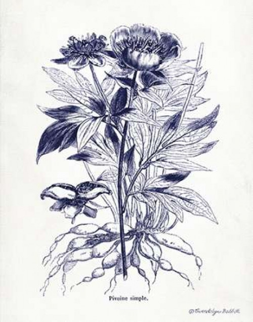 Indigo Botanical III Poster Print by Gwendolyn Babbitt - Item # VARPDXBAB312
