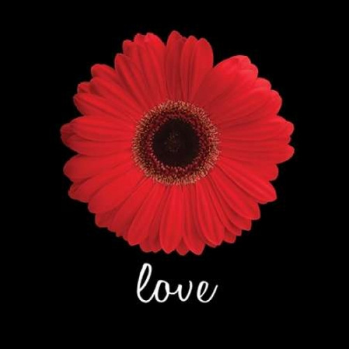 Love Daisy Poster Print by Jim Christensen - Item # VARPDXCRS030