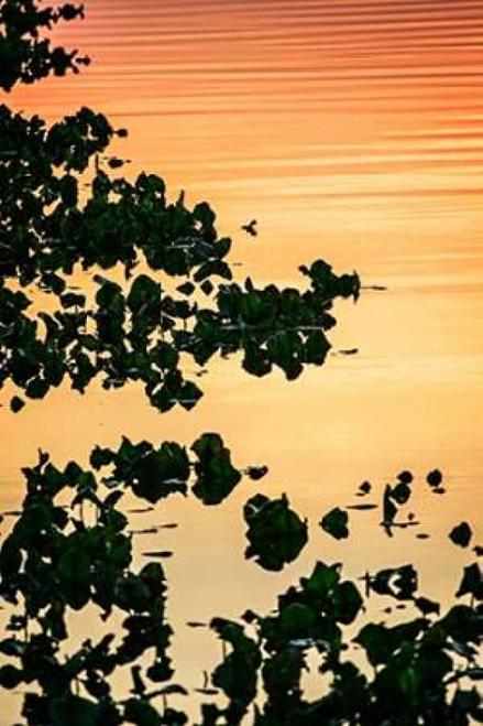 River at Twilight II Poster Print by Alan Hausenflock - Item # VARPDXPSHSF2147