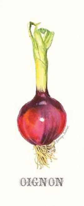 Oignon Poster Print by Gwendolyn Babbitt - Item # VARPDXBAB383