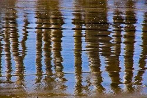 Pier Reflections II Poster Print by Lee Peterson - Item # VARPDXPSPSN303