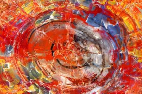 Minerals in Wood Poster Print by Douglas Taylor - Item # VARPDXPSTLR530