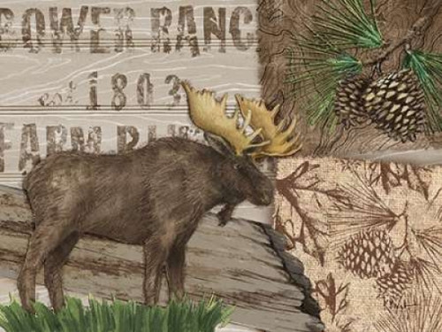 Alpine Collage III Poster Print by Paul Brent - Item # VARPDXBNT745