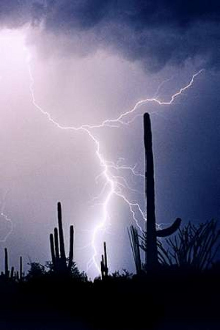 Hot August Night Poster Print by Douglas Taylor - Item # VARPDXPSTLR668