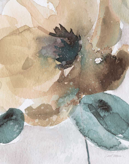 Watercolor Poppy II Poster Print by Carol Robinson - Item # VARPDX15823