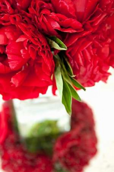 Ranunculus I Poster Print by Karyn Millet - Item # VARPDXPSMLT467 Ranunculus I Poster Print by Karyn Millet - Item # VARPDXPSMLT467