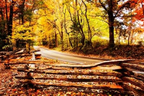 Overcast Afternoon Poster Print by Alan Hausenflock - Item # VARPDXPSHSF1929