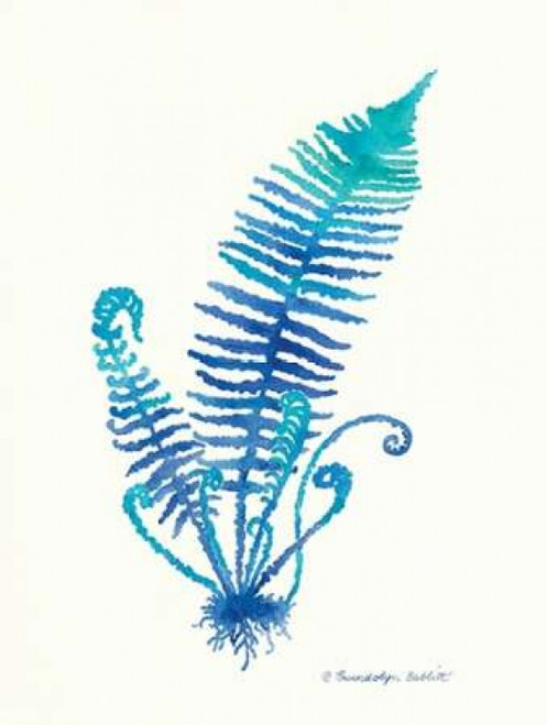 Ombre Fern II Poster Print by Gwendolyn Babbitt - Item # VARPDXBAB354