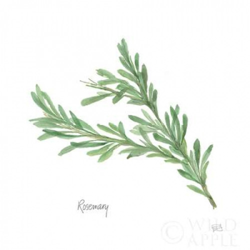 Rosemary v2 Poster Print by Chris Paschke - Item # VARPDX28467