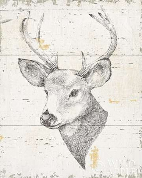 Wild and Beautiful II Poster Print by Daphne Brissonnet - Item # VARPDX28761