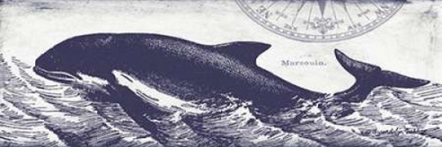 Whale on Cream II Poster Print by Gwendolyn Babbitt
