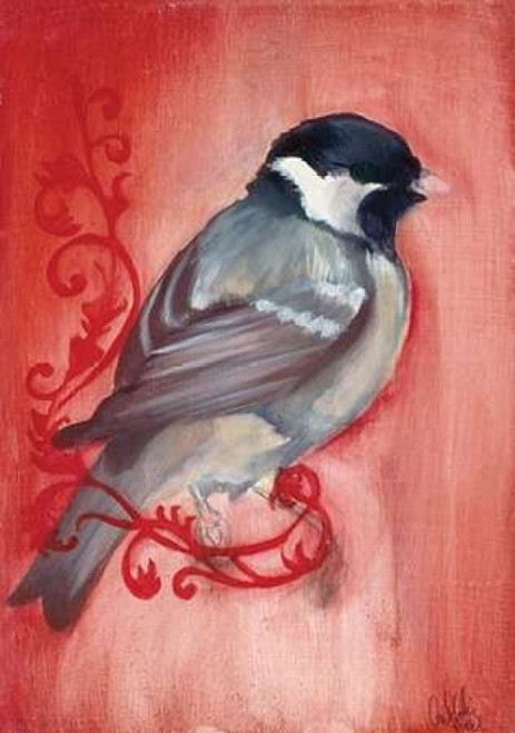 Bird Study XII Poster Print by Arielle Adkin - Item # VARPDXADK111