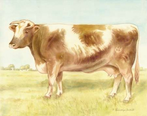 Cow Poster Print by Gwendolyn Babbitt - Item # VARPDXBAB268 Cow Poster Print by Gwendolyn Babbitt - Item # VARPDXBAB268