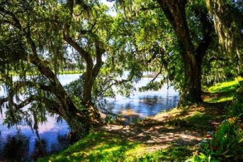 Ashley River Bank I Poster Print by Alan Hausenflock - Item # VARPDXPSHSF2105