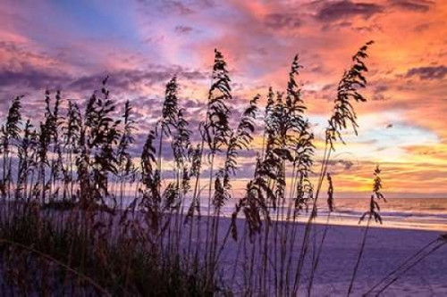 Ragged Sunrise III Poster Print by Alan Hausenflock - Item # VARPDXPSHSF1795