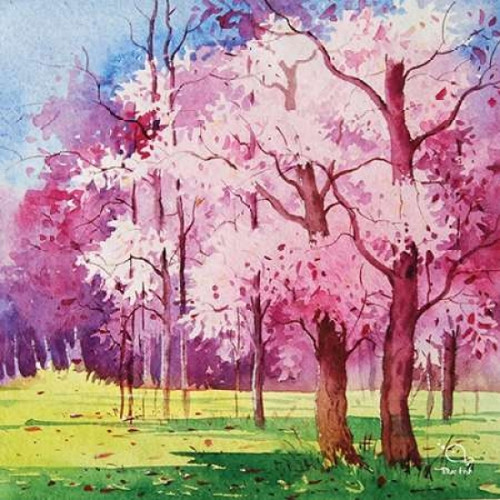 Cherry Blooms II Poster Print by Blue Fish - Item # VARPDXFSH140