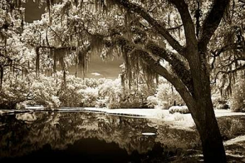 Walkers Pond II Poster Print by Alan Hausenflock - Item # VARPDXPSHSF1912