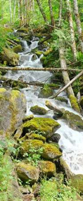 North Cascades NP VI Poster Print by George Johnson - Item # VARPDXPSJSN229
