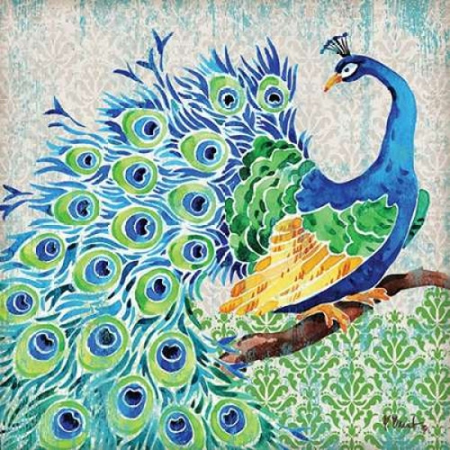 Patterned Peacock I Poster Print by Paul Brent - Item # VARPDXBNT1008