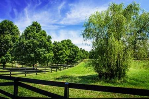 Green Springs Farm II Poster Print by Alan Hausenflock - Item # VARPDXPSHSF1892